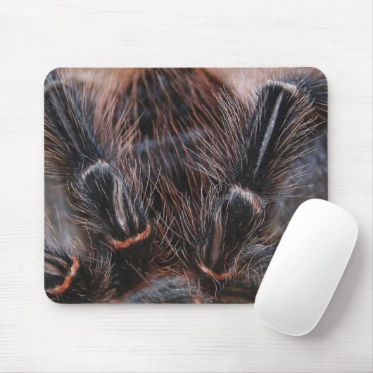 spinhaar muismat (Met muis)