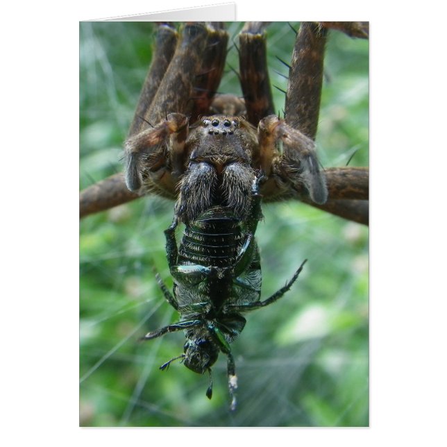 SpinKaart (Voorkant)