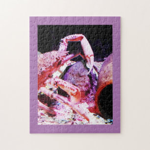 Spinkrab Legpuzzel