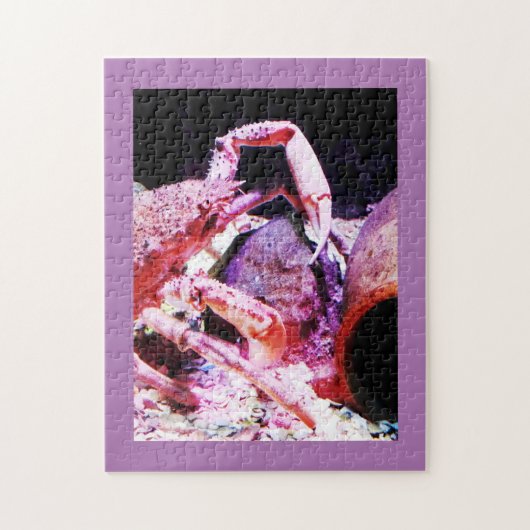 Spinkrab Legpuzzel (Verticaal)