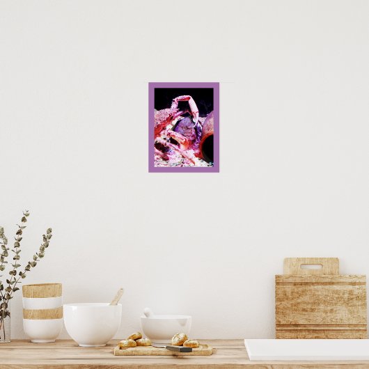 Spinkrab Poster (Keuken)