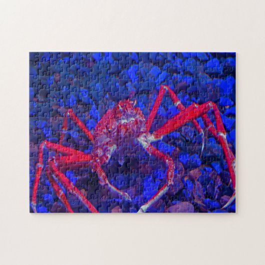 Spinkrabben. Legpuzzel (Horizontaal)