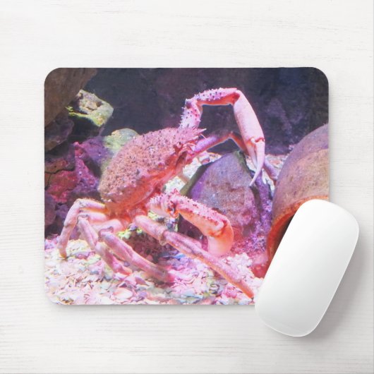 Spinkrabben Muismat (Met muis)