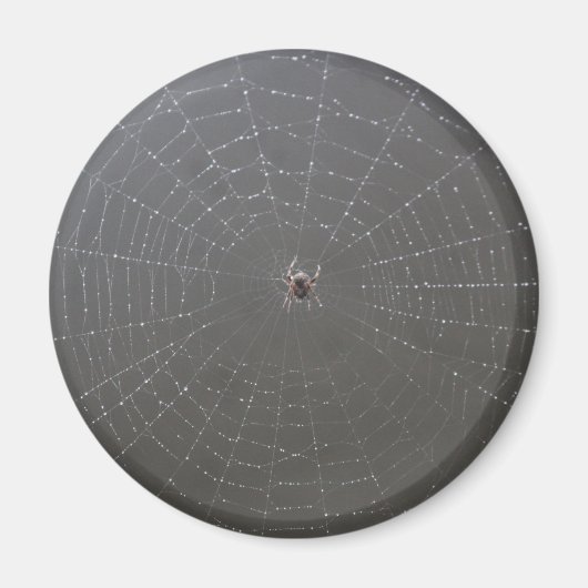 Spinmagnet Magneet (Voorkant)