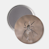 Spinmagneten Magneet (Voorkant / Achterkant)