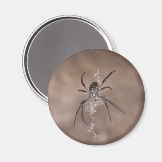 Spinmagneten Magneet (Voorkant / Achterkant)