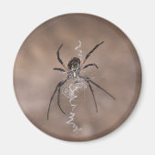 Spinmagneten Magneet (Voorkant)