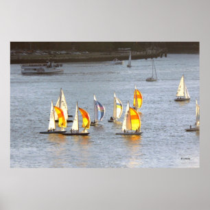 Spinnakers vatten de Wind Poster
