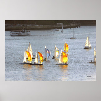 Spinnakers vatten de Wind Poster