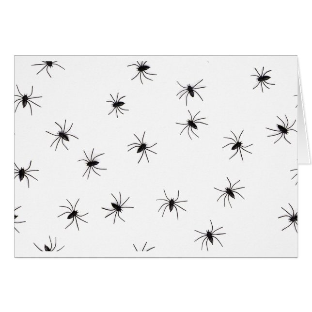 spinnen (Voorkant Horizontaal)