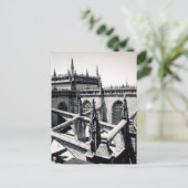 spinnen briefkaart (Staand voorkant)