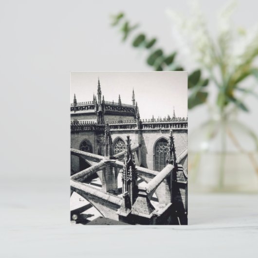 spinnen briefkaart (Staand voorkant)