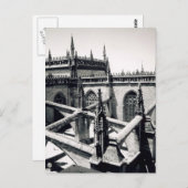 spinnen briefkaart (Voorkant / Achterkant)