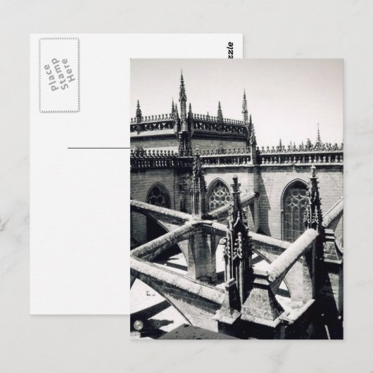 spinnen briefkaart (Voorkant / Achterkant)