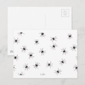 spinnen briefkaart (Voorkant / Achterkant)