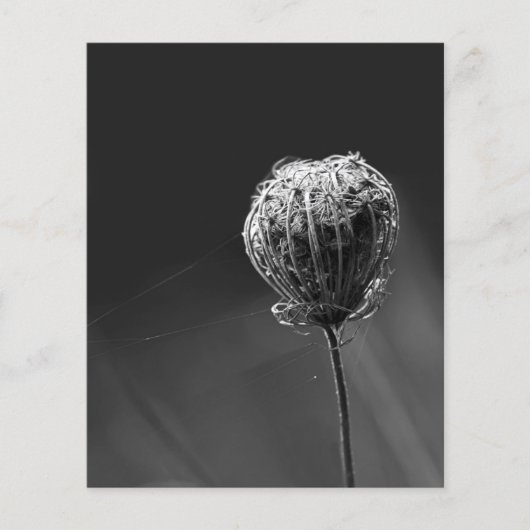Spinnen Met Bloemen | Matching Spin Minnaars Flyer (Voorkant)