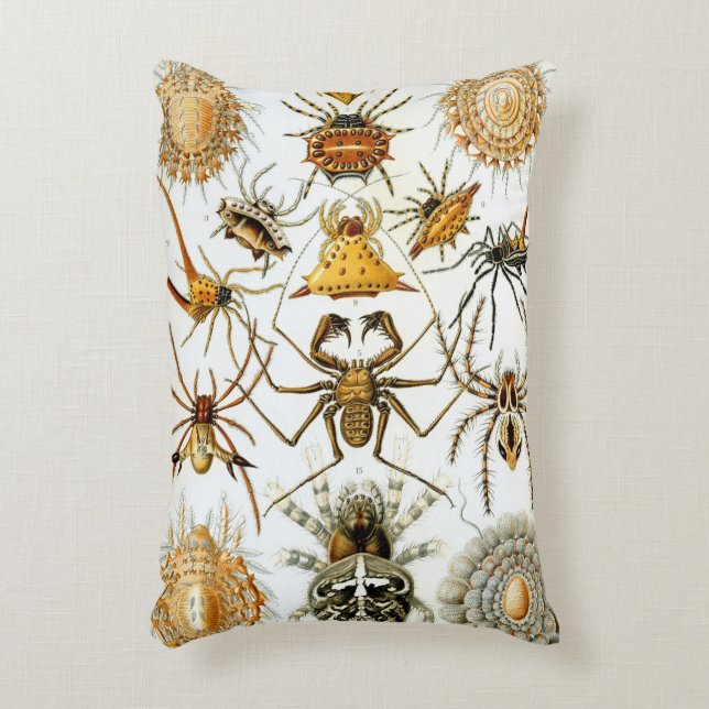  spinnen of spinachtigen door Ernst Haeckel Accent Kussen (Voorkant(Verticaal))