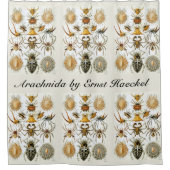  spinnen of spinachtigen door Ernst Haeckel Douchegordijn (Voorkant)