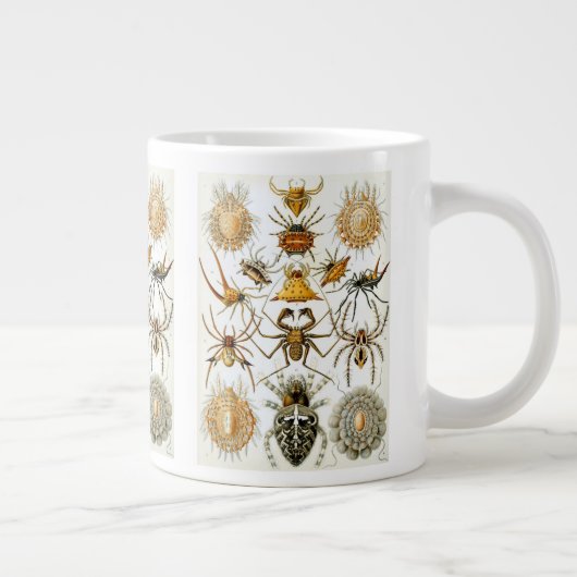  spinnen of spinachtigen door Ernst Haeckel Grote Koffiekop (Rechts)