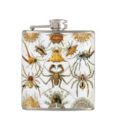 spinnen of spinachtigen door Ernst Haeckel Heupfles (Voorkant)