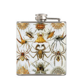 spinnen of spinachtigen door Ernst Haeckel Heupfles (Achterkant)