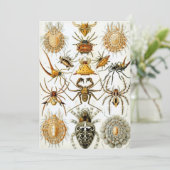  spinnen of spinachtigen door Ernst Haeckel Kaart (Staand voorkant)