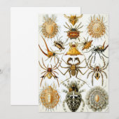  spinnen of spinachtigen door Ernst Haeckel Kaart (Voorkant / Achterkant)