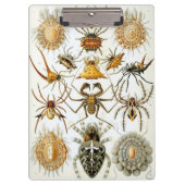  spinnen of spinachtigen door Ernst Haeckel Klembord (Voorkant)