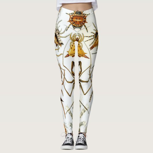  spinnen of spinachtigen door Ernst Haeckel Leggings (Voorkant)