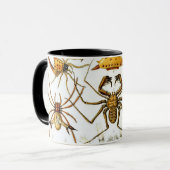 spinnen of spinachtigen door Ernst Haeckel Mok (Voorkant links)