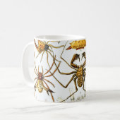  spinnen of spinachtigen door Ernst Haeckel Mok (Voorkant links)