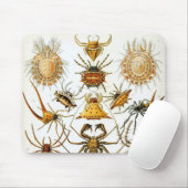  spinnen of spinachtigen door Ernst Haeckel Muismat (Met muis)