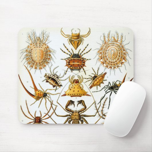  spinnen of spinachtigen door Ernst Haeckel Muismat (Met muis)