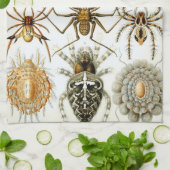 spinnen of spinachtigen door Ernst Haeckel Theedoek (Gevouwen)
