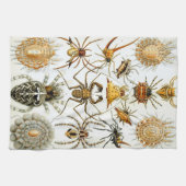 spinnen of spinachtigen door Ernst Haeckel Theedoek (Horizontaal)