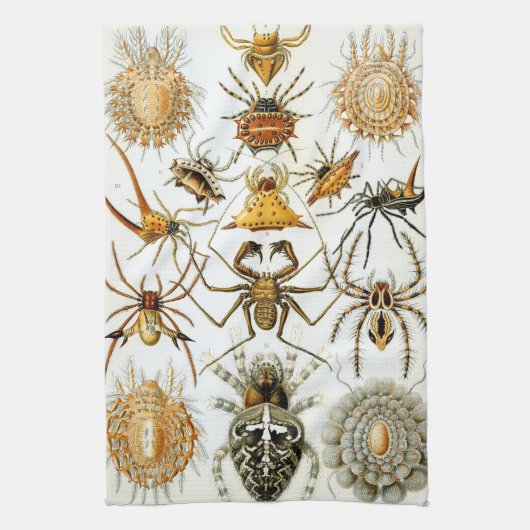 spinnen of spinachtigen door Ernst Haeckel Theedoek (Verticaal)