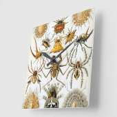  spinnen of spinachtigen door Ernst Haeckel Vierkante Klok (Hoek)