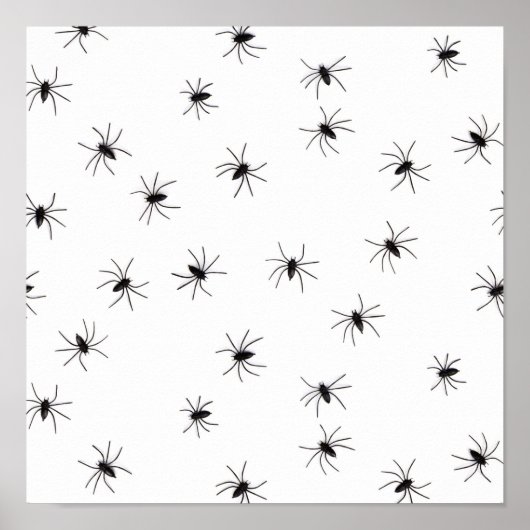 Spinnen Poster (Voorkant)