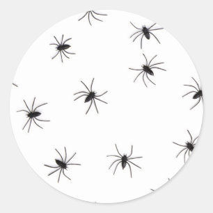 spinnen ronde sticker