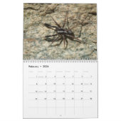 Spinnen zijn geweldig! Agenda Kalender (Feb 2026)