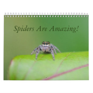 Spinnen zijn geweldig! Agenda Kalender