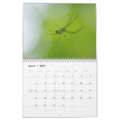 Spinnen zijn geweldig! Agenda Kalender (Mar 2027)