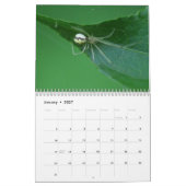 Spinnen zijn geweldig! Agenda Kalender (Jan 2027)