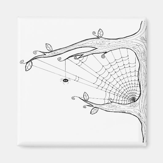 spinnenboommagneet magneet (Voorkant)