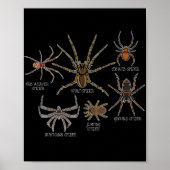 Spinnensoort Tarantula Arachnid Geschenken Spin Poster (Voorkant)