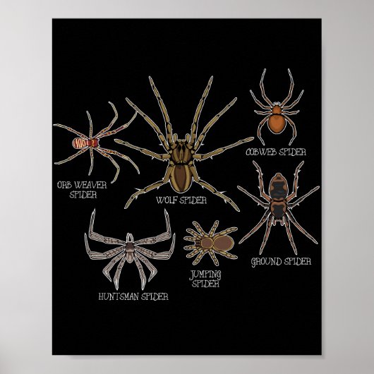 Spinnensoort Tarantula Arachnid Geschenken Spin Poster (Voorkant)