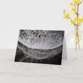 Spinnenweb met dauw, waterdruppel hangmat kaart (Gele Bloem)