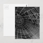 Spinnenweb met waterkralen briefkaart (Voorkant / Achterkant)