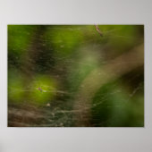 Spinnenweb poster (Voorkant)