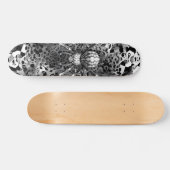 Spinnenweb skateboard (Horizontaal)